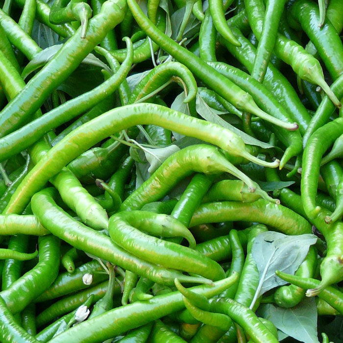 green-chilli