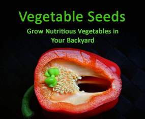 vegetable-seeds