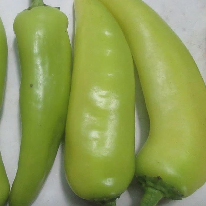 bajji-chilli