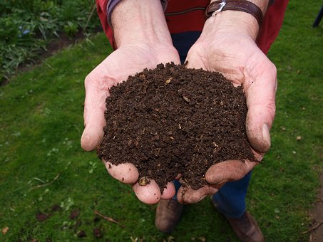 How to make Compost at home?
